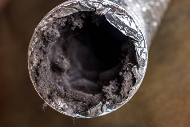 Best Air Duct Cleaning Near Me  in Blacksburg, SC